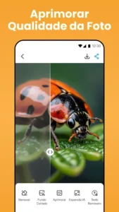 Photo Editor APK v1.2.4 (Premium Desbloqueado) 2